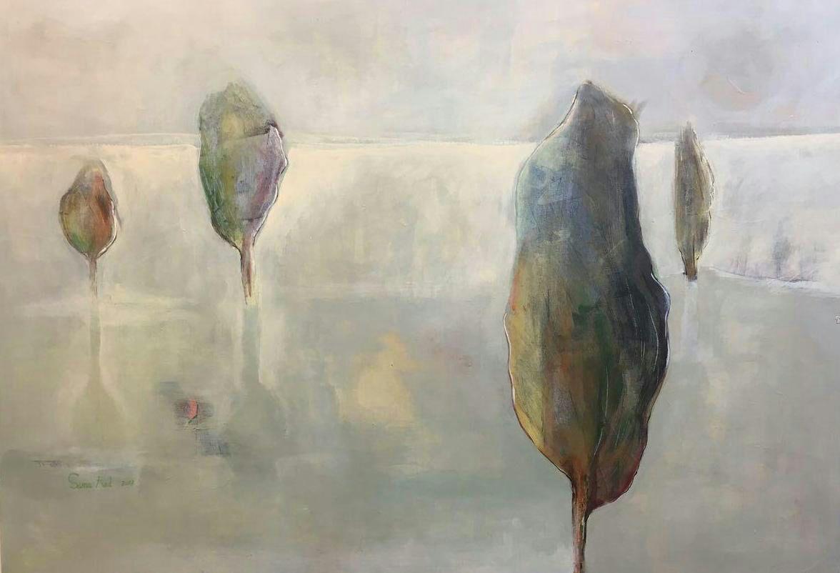 Samaneh Shariati Rad