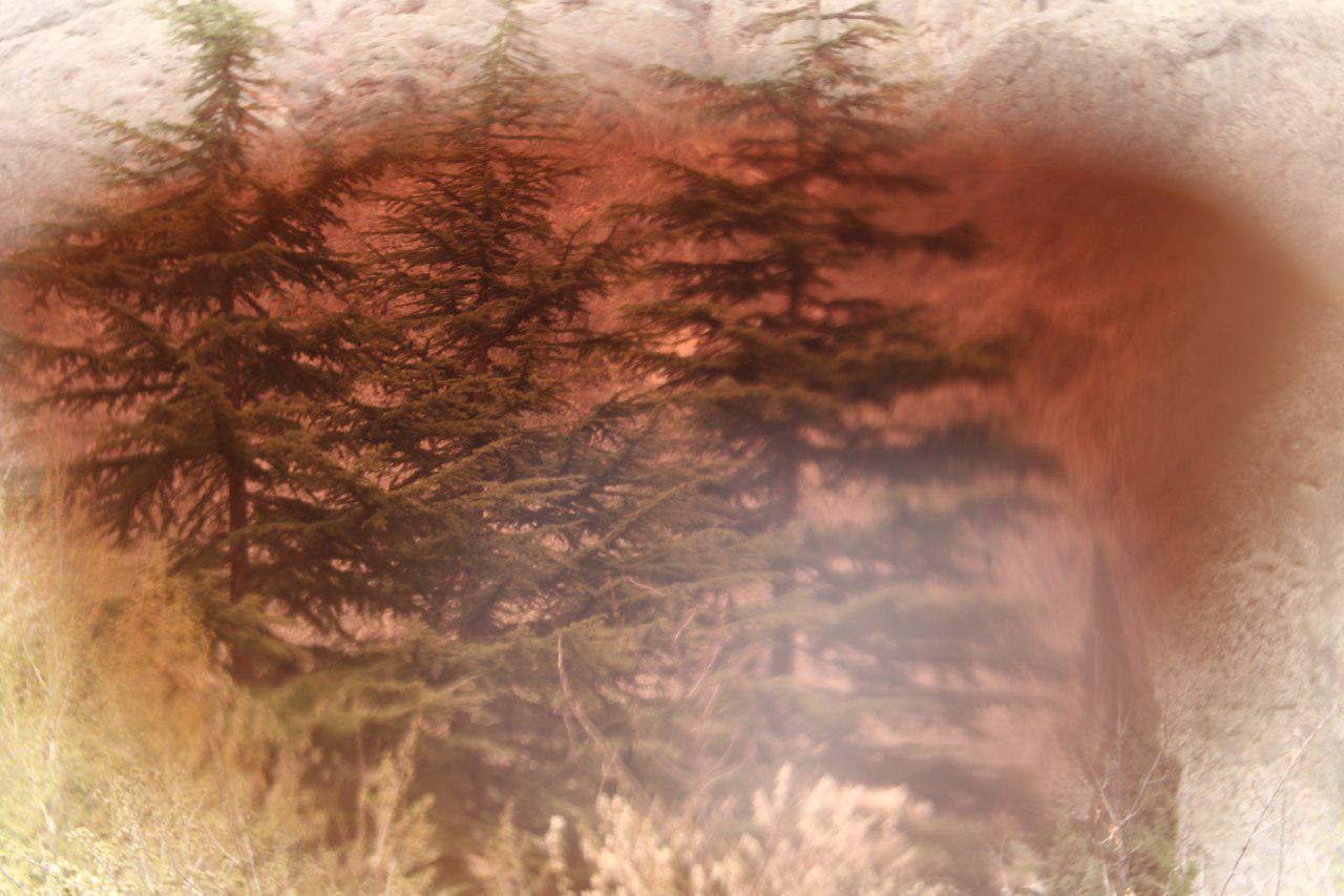 Faezeh Beikmohammadi