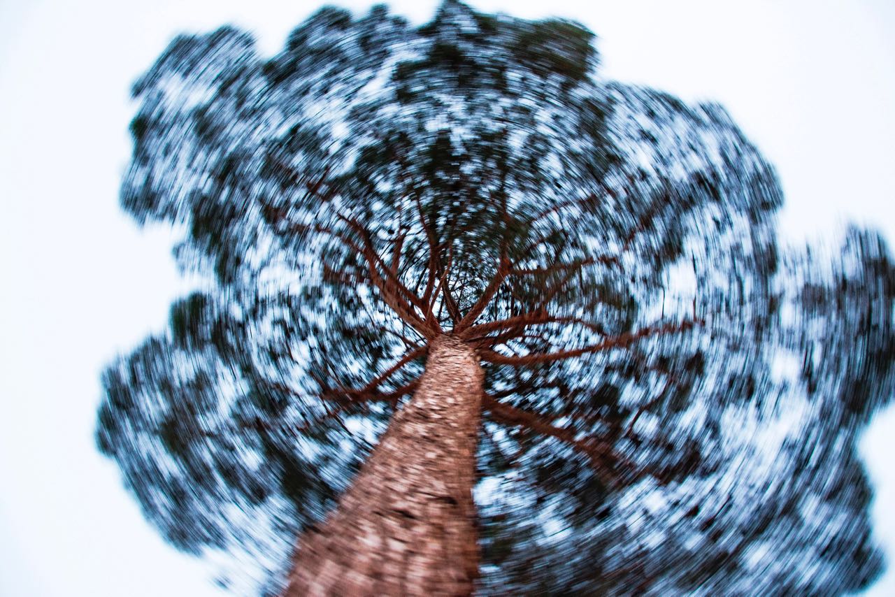 Mohammad Bahmanziari